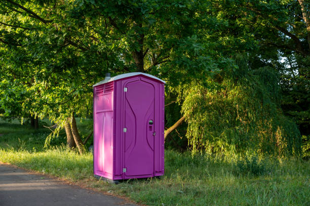 Best Sanitation services for porta potties  in Pleasant Grove, AL